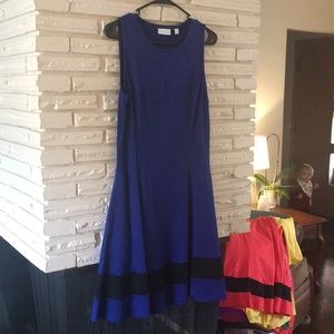 New York & Company fit and flare dress